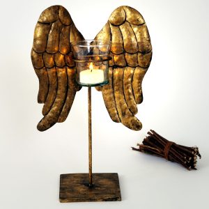 WINGS KLEIN