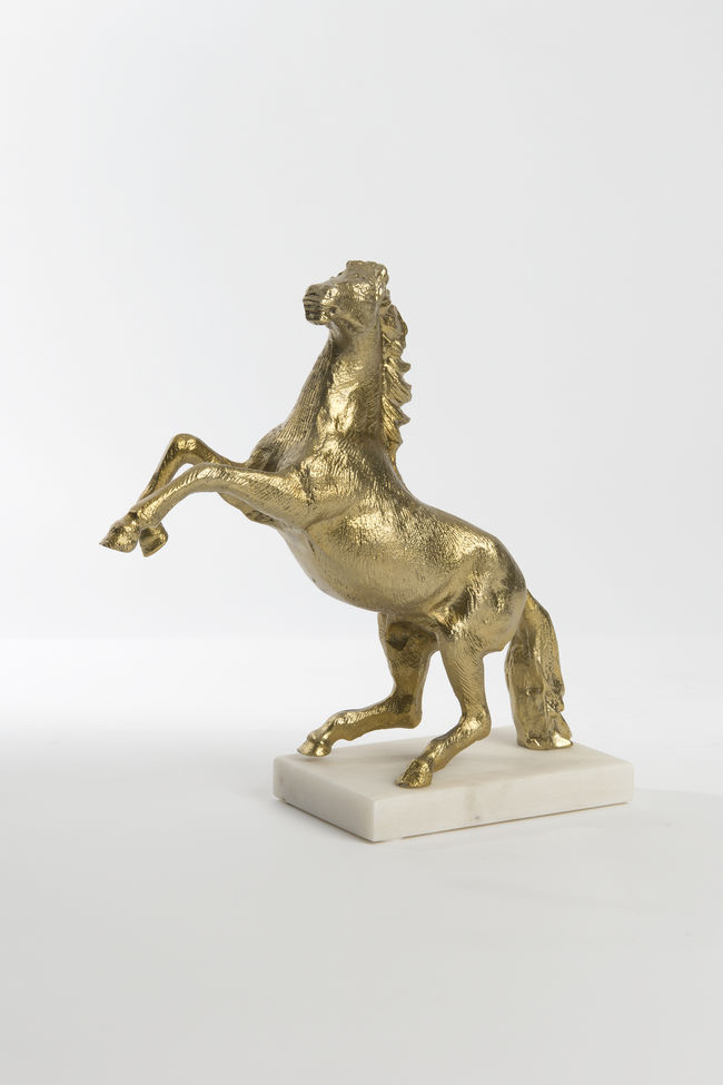 CAVALLO GRANDE – Bild 6