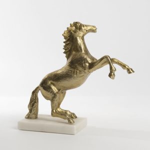 CAVALLO GRANDE