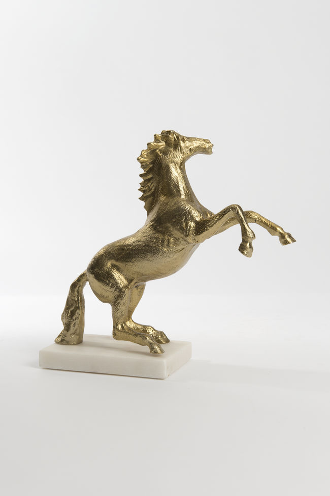 CAVALLO GRANDE