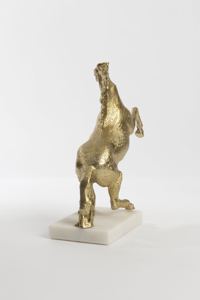 CAVALLO GRANDE – Bild 4