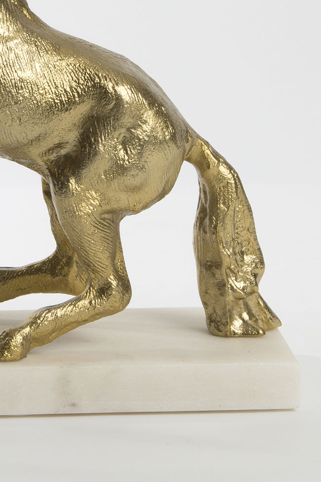 CAVALLO GRANDE – Bild 2