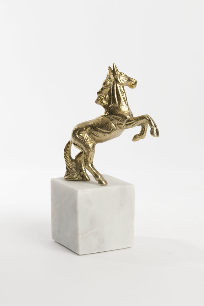CAVALLO PICCOLO – Bild 6