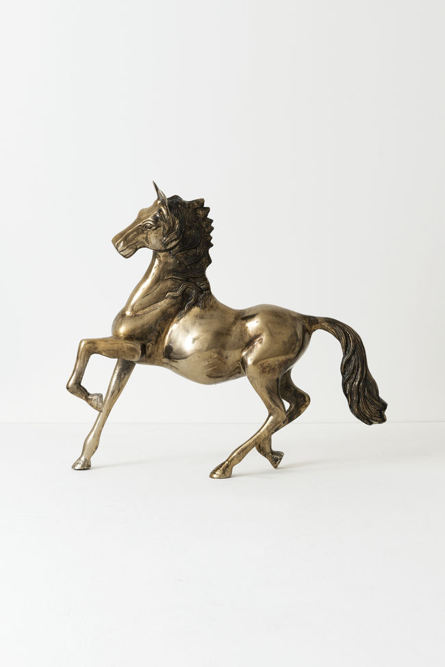 CAVALLO GRANDE