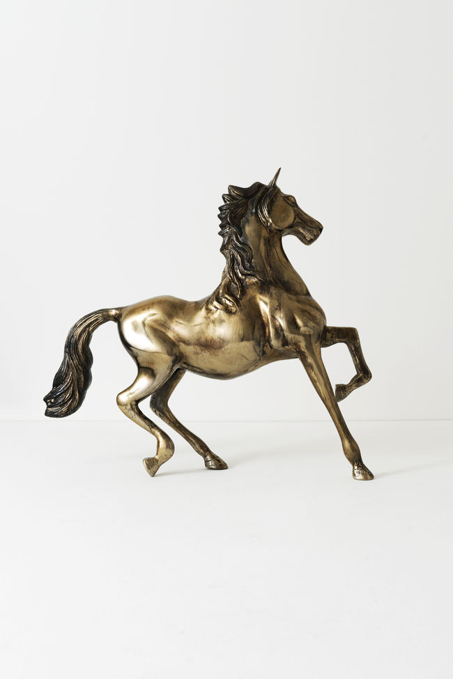 CAVALLO GRANDE – Bild 4
