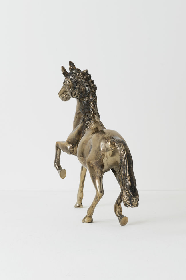CAVALLO GRANDE – Bild 2
