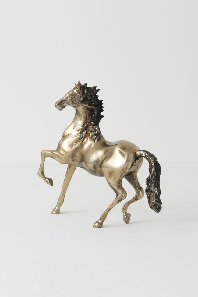 CAVALLO PICCOLO – Bild 5