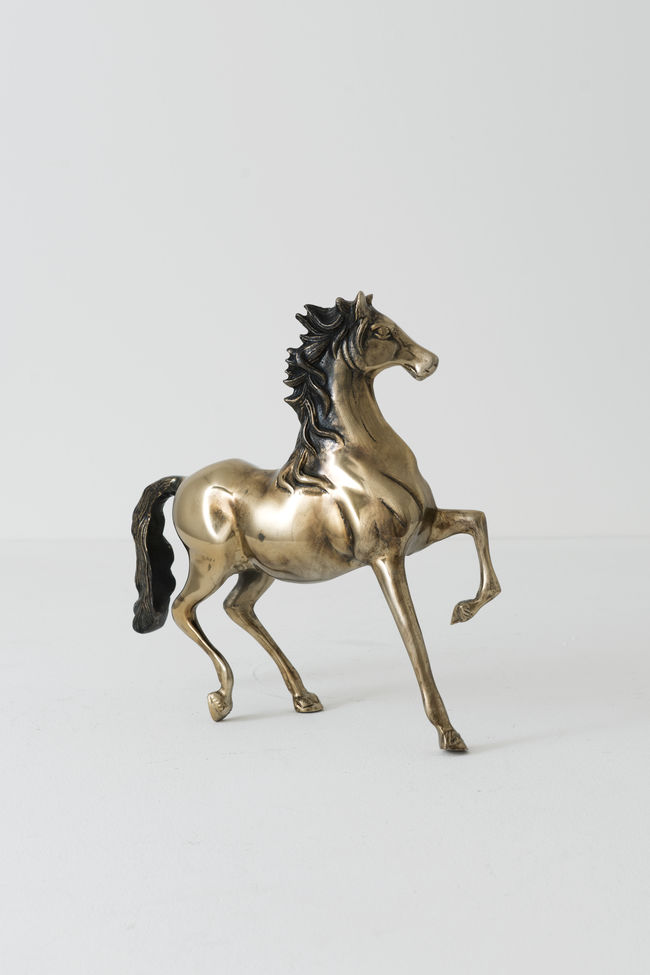 CAVALLO PICCOLO – Bild 4