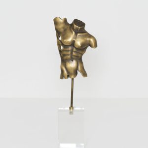 TORSO