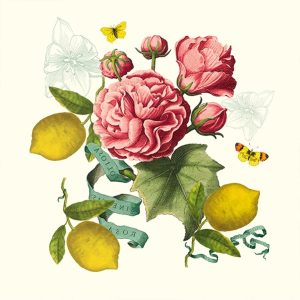 CITRONS DE MENTON ROMANCE – Serviette von Garnier Thiebaut