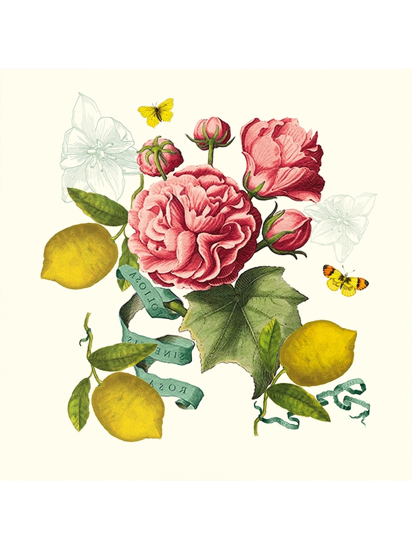 CITRONS DE MENTON ROMANCE – Serviette von Garnier Thiebaut